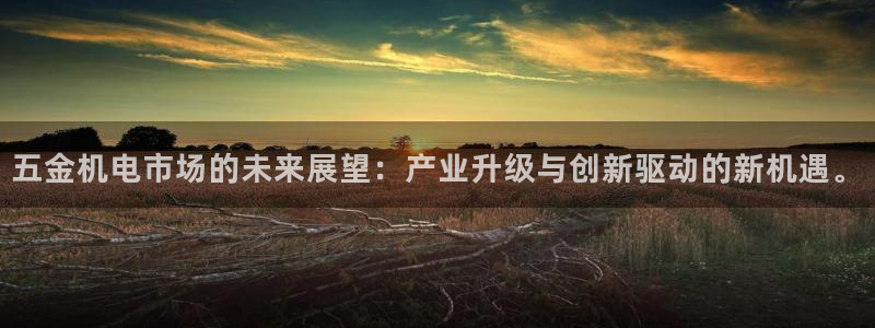 云顶国际服s11什么时候上线