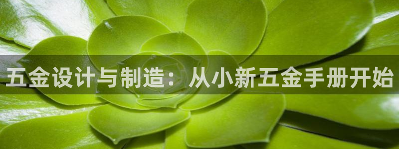 云顶国际俱乐部怎么样