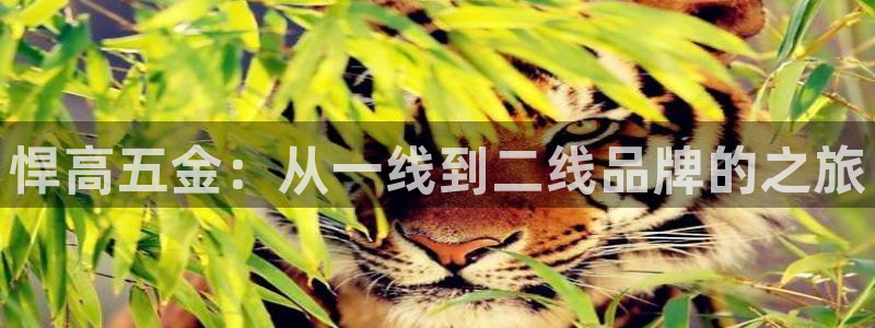 云顶国际yd222