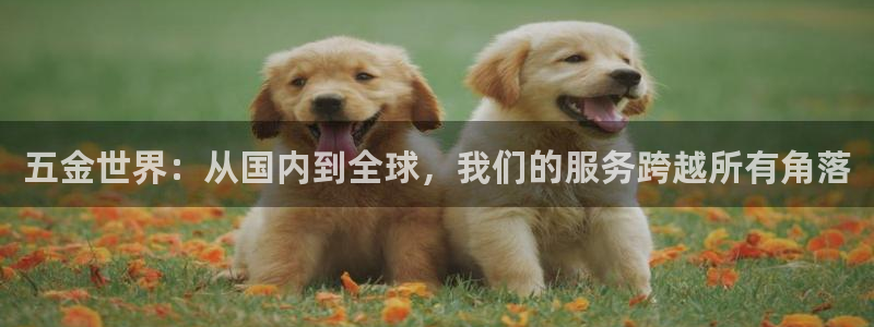 4008浏览器云顶下载