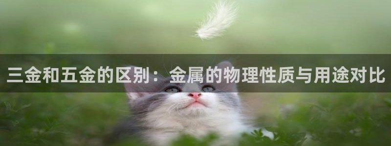 云顶国际商业广场商户