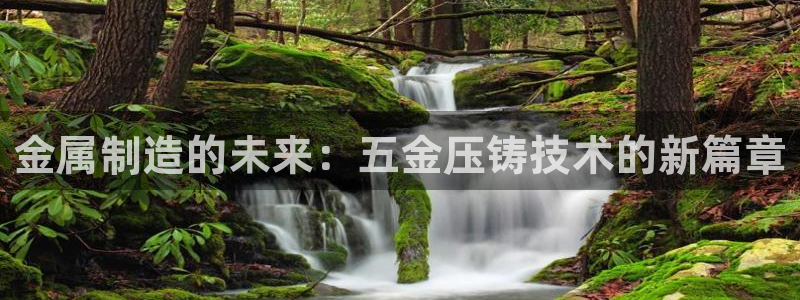 云顶集团王天才简介