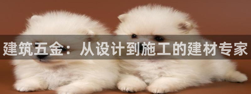 云顶国际商业广场可以充电动车吗