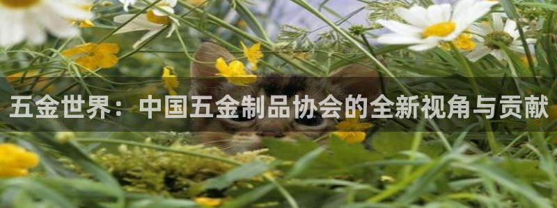 太原云顶国际酒店很吓人