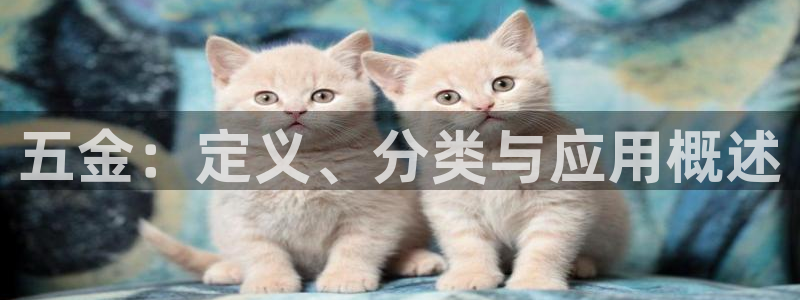 云顶国际酒店老板叫什么