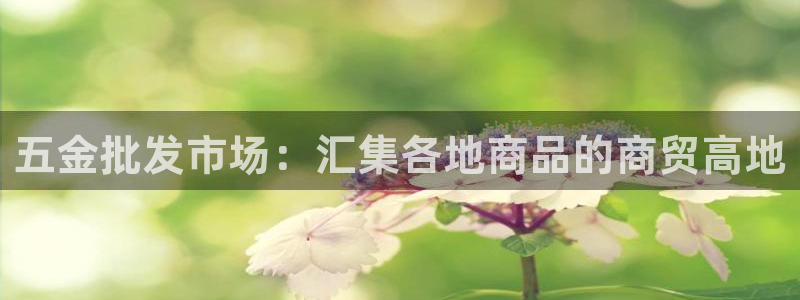 云顶国际酒店位置图