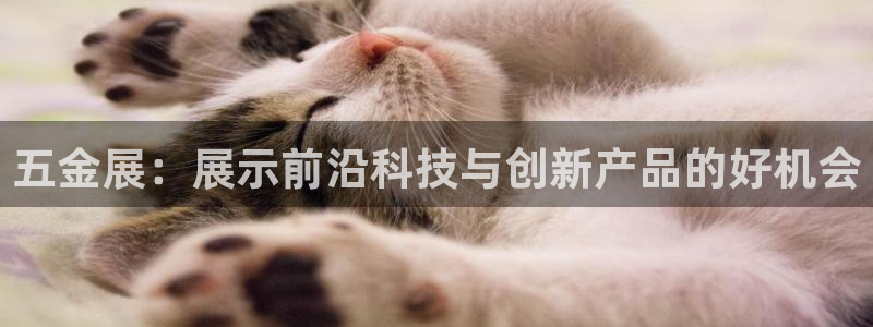 云顶国际服s9