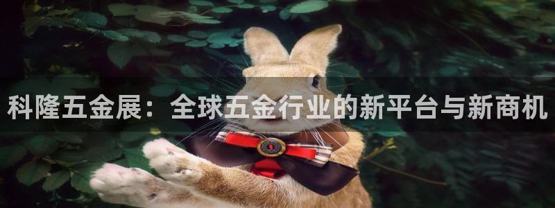 云顶网站官网