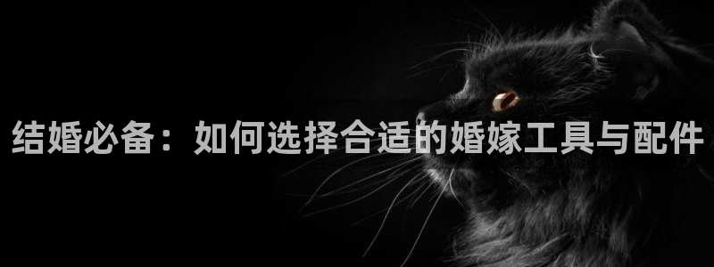 云顶电子游戏平台