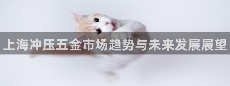 禹州云顶国际二手房