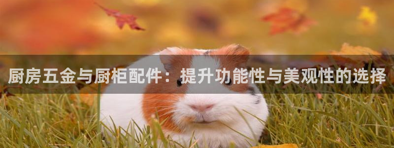 云顶游戏网址