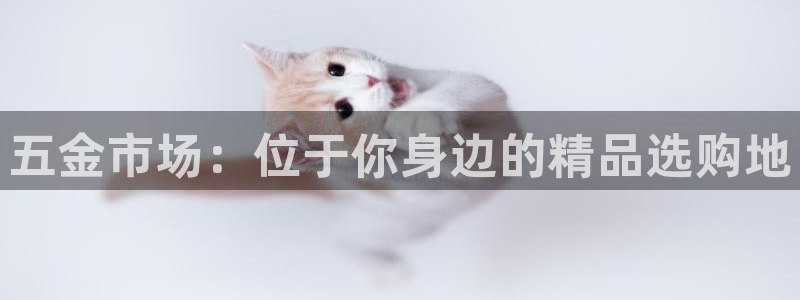 云顶集团有限公司简介地址