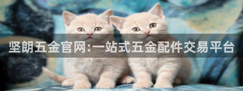 云顶国际KTV