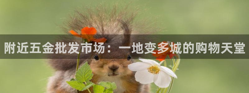 云顶国际服如何调中文