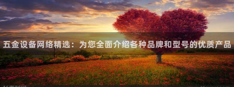 云顶集团网投领