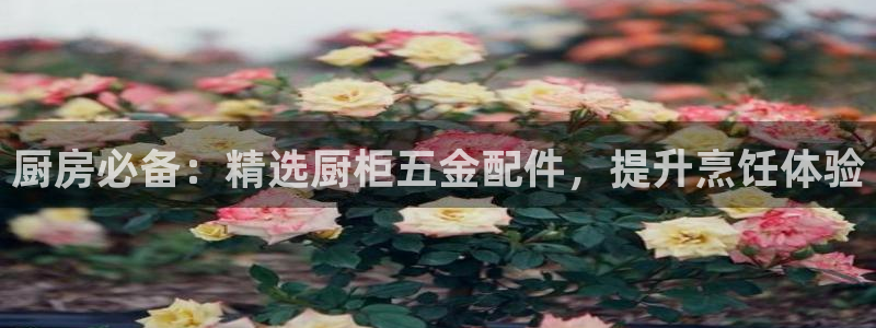 云顶国际服更新了吗