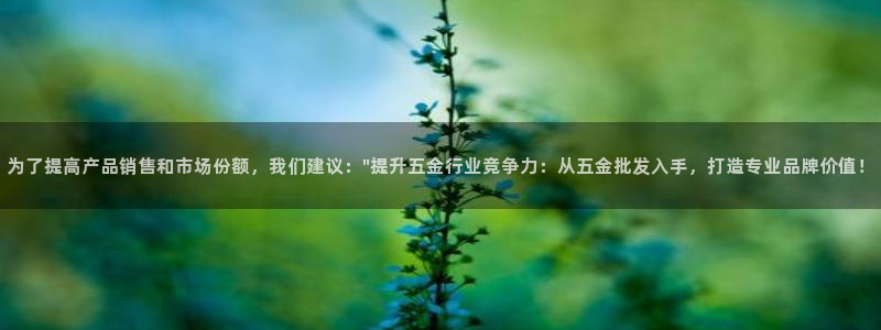 云顶集团游戏app特色