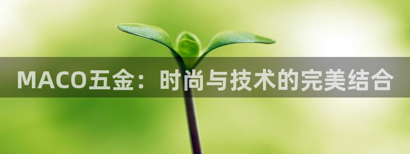 云顶国际服最新版