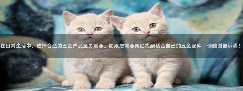 云顶国际服官网