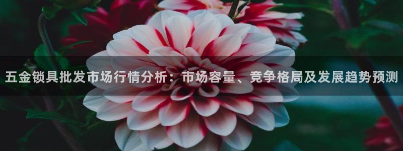 云顶国际不出款怎么办