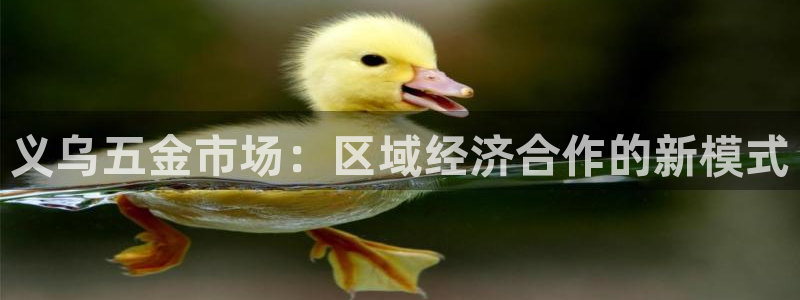 云顶国际服更新公告