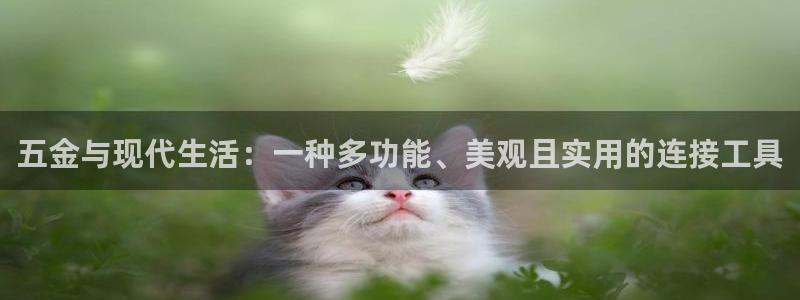 云顶国际黑网不出款了
