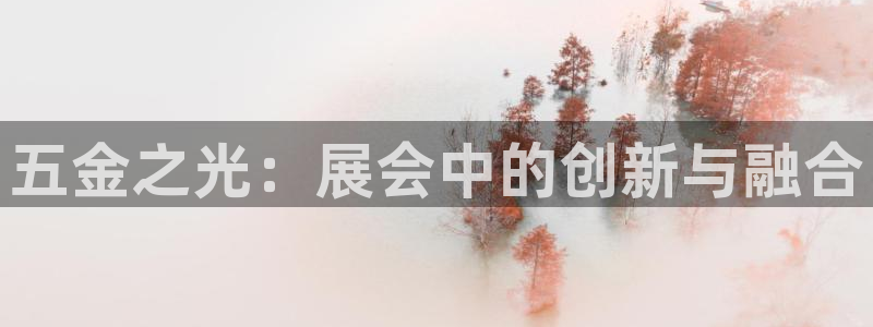 云顶国际服叫什么