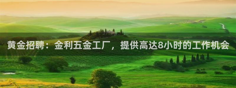 云顶集团app免费下载