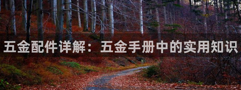 云顶国际集团游戏app