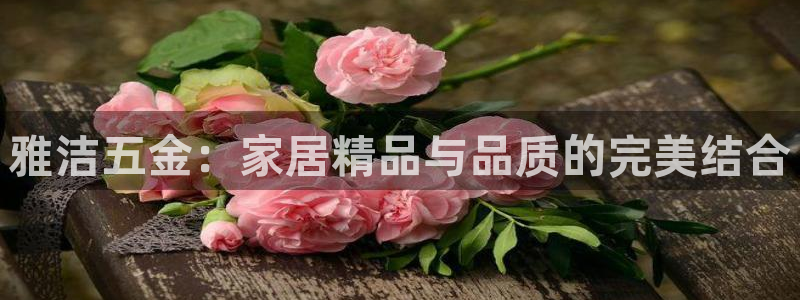 云顶国际服s10