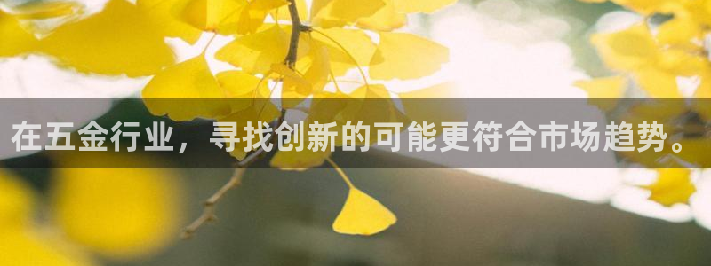 云顶国际麻将胡了几张牌