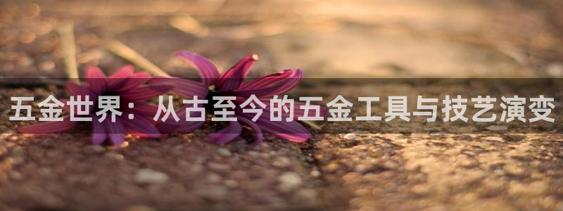 云顶国际平台违法吗?