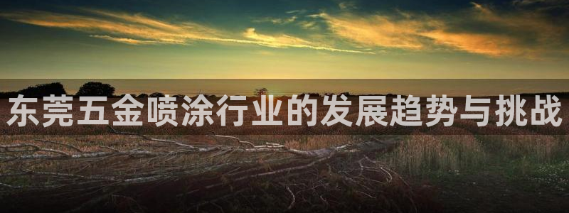 云顶国际服什么时候更新s10