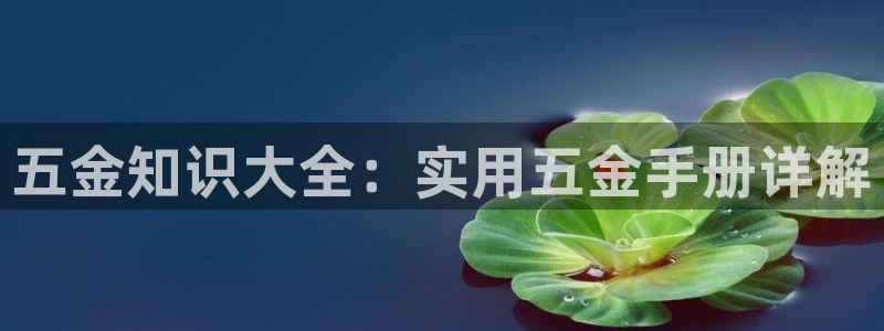 云顶集团老总是谁