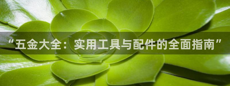 云顶国际黑不黑