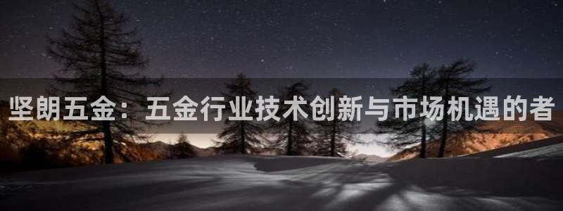 云顶国际服下载