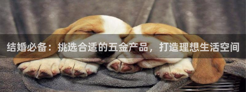 云顶国际ktv会所怎么样