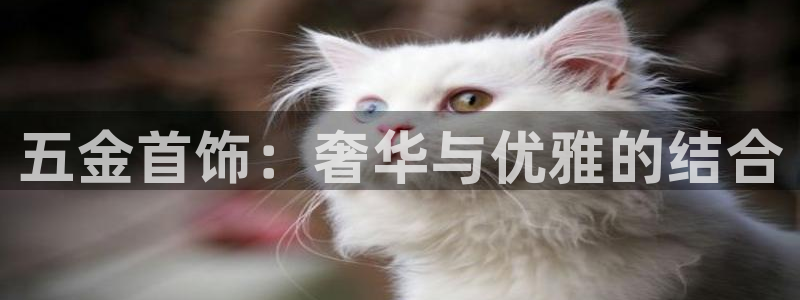 云顶国际游戏官方网站