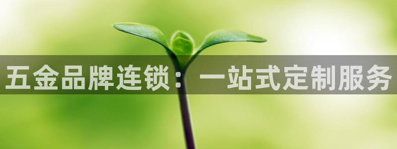 云顶国际服汉化