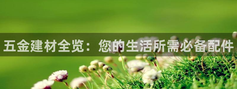 云顶国际物流有限公司