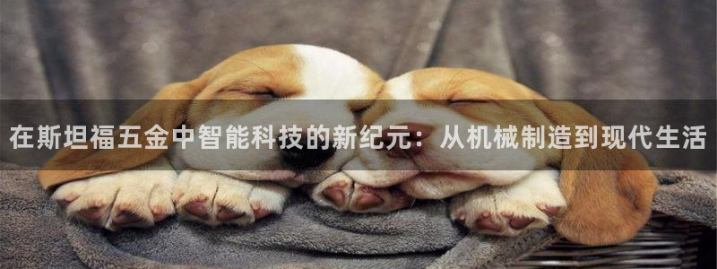 云顶国际网站进不去了