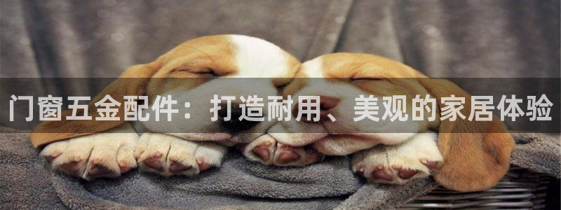 云顶集团游戏app