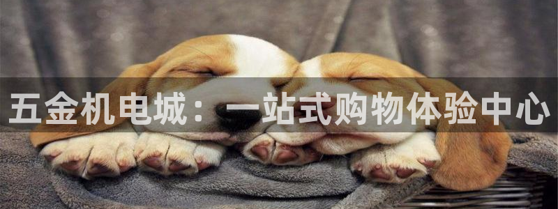 云顶国际网站合法吗