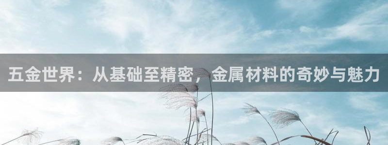 云顶国际app官网