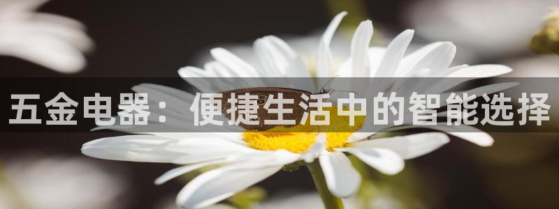 云顶28官网下载