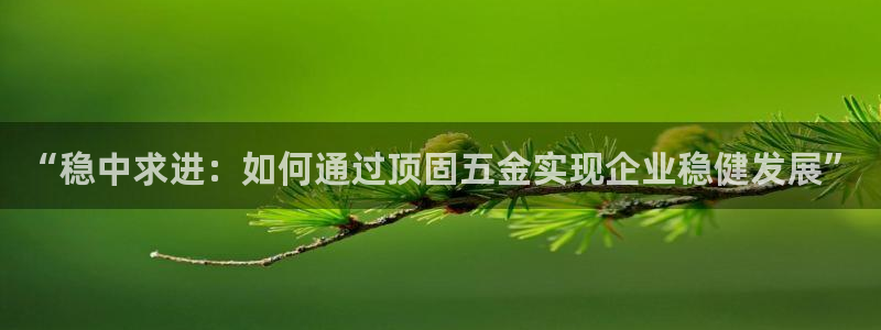 云顶国际nba智库