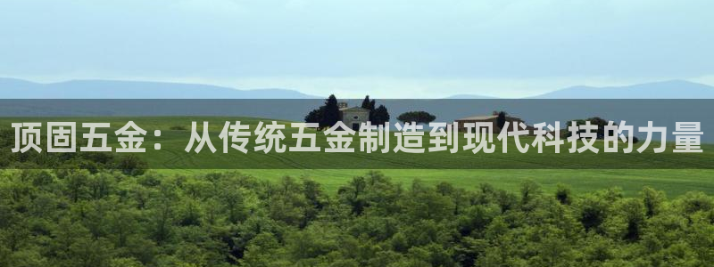 云顶国际服联机