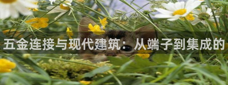 云顶国际服怎么换服务器