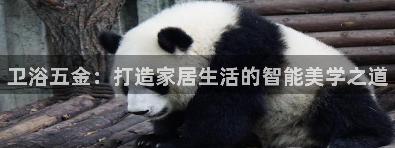 太原云顶国际酒店老板是谁