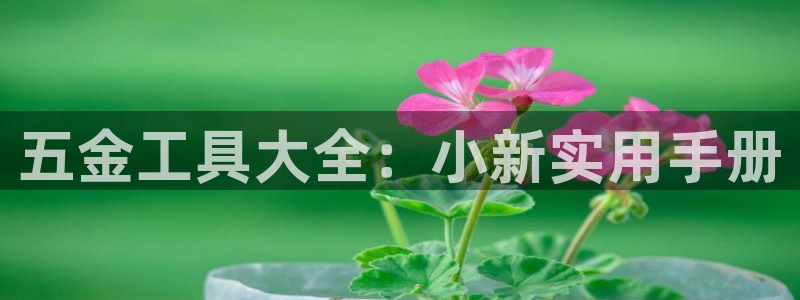 云顶国际怎么样